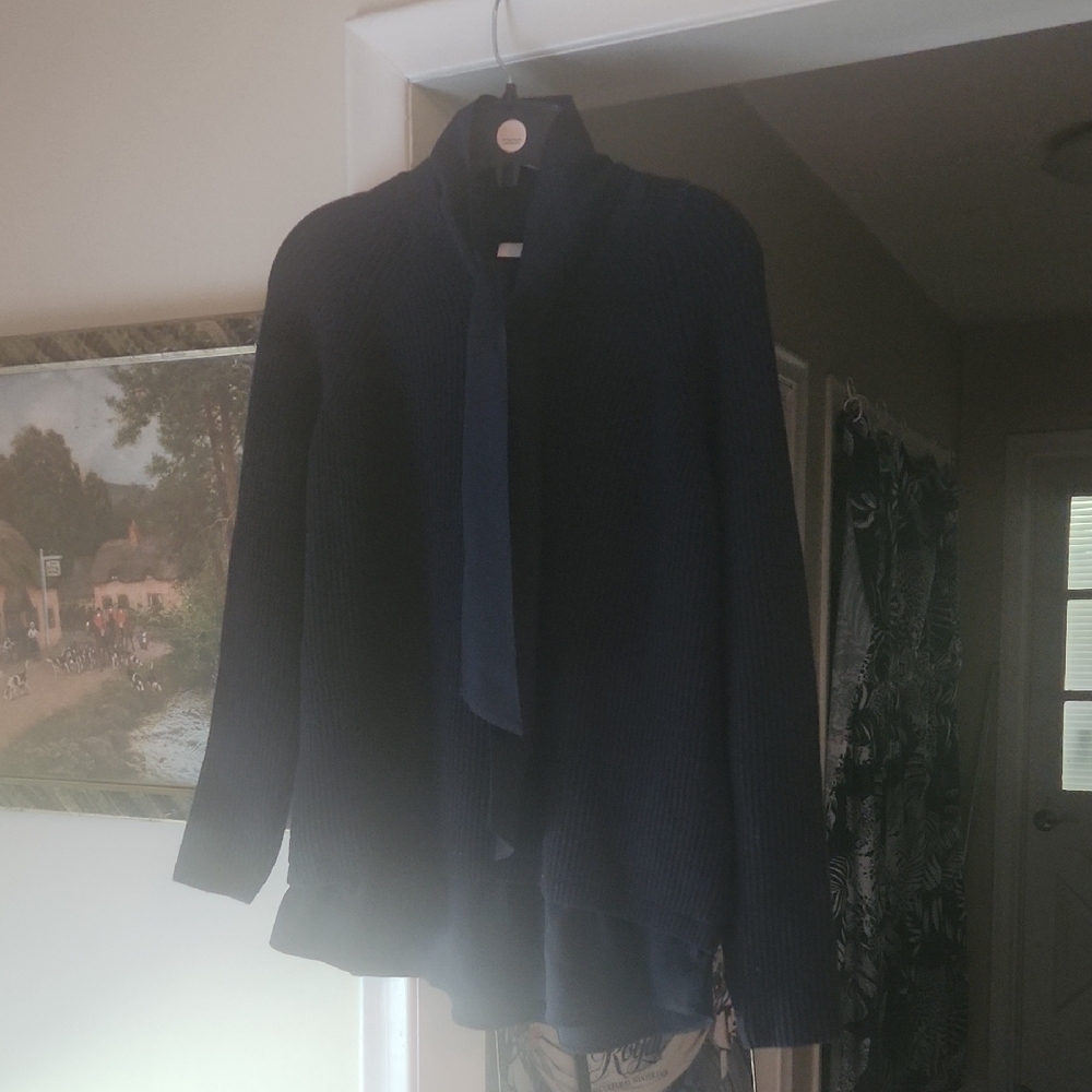J1 - Nwot Cozy ribbed sweater w/sheer hem & removable neck tie by Next
